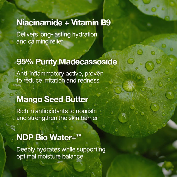 NDP B9 Hydrating Makeup Primer 65ml